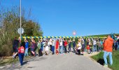 Kindermaibaum 2026