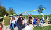 Kindermaibaum 2026