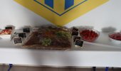 Speckfest 2026